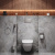 картинка Комплект унитаза с инсталляцией AM.PM Inspire 2.0 CK50GD с сиденьем Микролифт с клавишей смыва Хром с гигиеническим душем и аксессуарами для ванной комнаты от магазина Сантехстрой