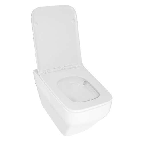 картинка Унитаз подвесной Azario MONEO 355х515х365 безободковый, слив "Торнадо", в комплекте с быстросъемным сидением микролифт (AZ-0062 UQ1) от магазина Сантехстрой