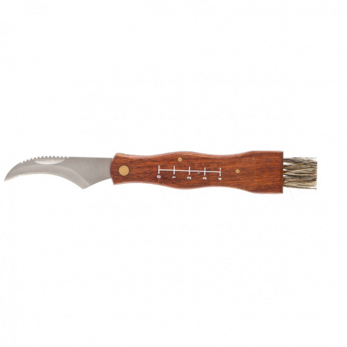 картинка Нож грибника складной, 185 мм, деревянная рукоятка, Palisad от магазина Сантехстрой
