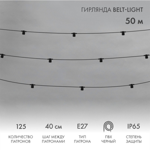 картинка Гирлянда Belt-Light 2 жилы,  50м,  шаг 40см,  125 патронов E27, IP65, черный круглый провод NEON-NIGHT от магазина Сантехстрой