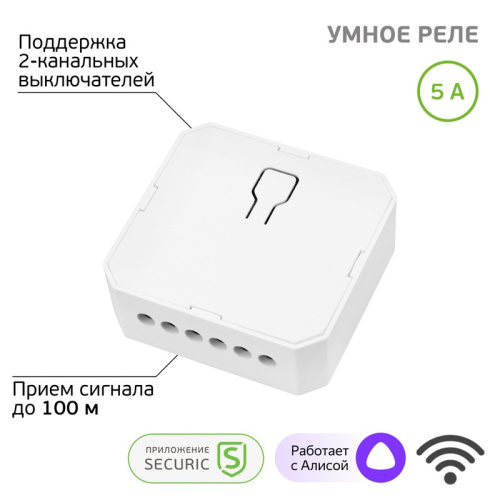 картинка Умное встраиваемое Wi-Fi реле двухканальное SECURIC от магазина Сантехстрой