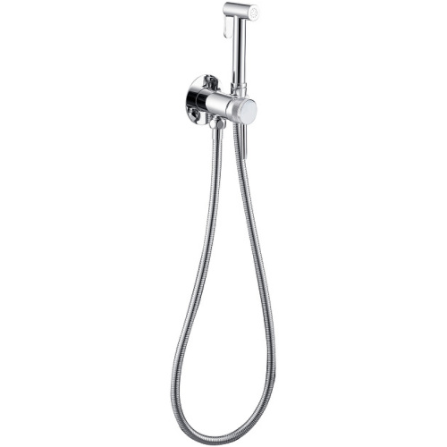 картинка Гигиенический душ со смесителем Allen Brau Priority 5.31029-00 Хром от магазина Сантехстрой