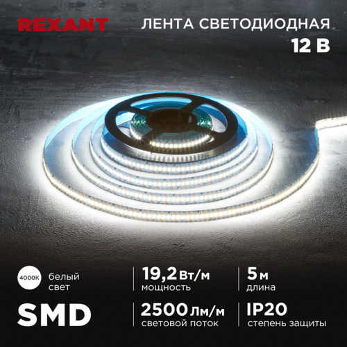 картинка Лента светодиодная 12В,  SMD2835, 19,2Вт/м,  240 LED/м,  4000K,  10мм,  5м, IP20 REXANT от магазина Сантехстрой