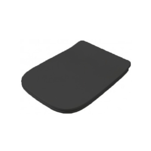 картинка Artceram A16 Сиденье для унитаза с микролифтом, цвет: черный матовый, петли: хром от магазина Сантехстрой
