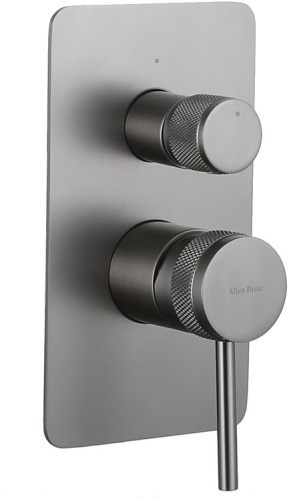 изображение смеситель для ванны allen brau priority 5.31011-mg (с внутренней частью) графит браш