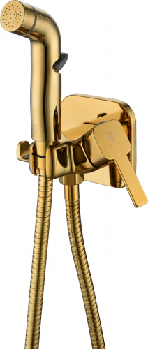 картинка Смеситель с гигиеническим душем RUSH Capri встраиваемый, золото (CA1435-99G) от магазина Сантехстрой