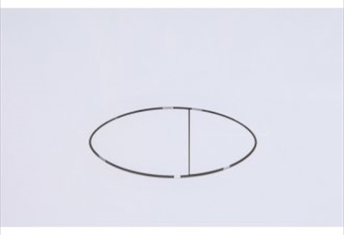 картинка Кнопка смыва Logan Oval двойная, White (297677) от магазина Сантехстрой