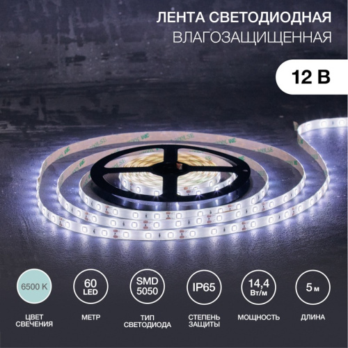 картинка Лента светодиодная 12В,  SMD5050, 60 LED/м,  6500К,  10мм,  5м,  IP65 LAMPER от магазина Сантехстрой