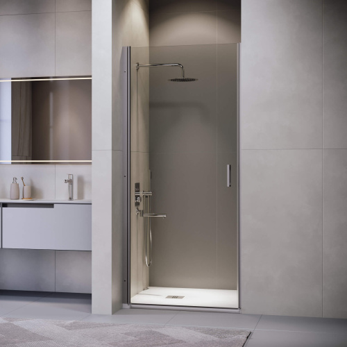 картинка Душевая дверь RGW LE-003Gr (Прозрачное, 900) от магазина Сантехстрой