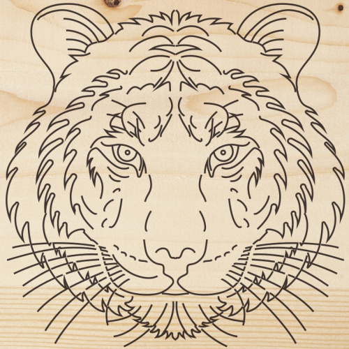 картинка Доска для выжигания «Тигр»,  150х150мм,  1 шт. ,  пакет REXANT от магазина Сантехстрой