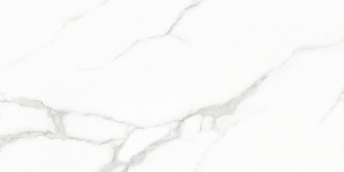 картинка Керамический гранит Creo Ceramique WHITE CARARRA 60х120 Glossy (GJT612670) от магазина Сантехстрой