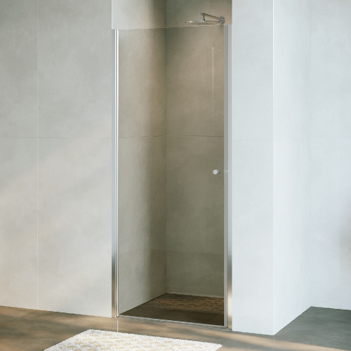 картинка Душевая дверь RGW 54930309-11 от магазина Сантехстрой