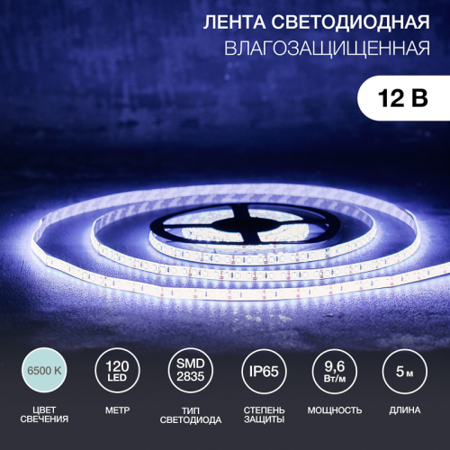 картинка Лента светодиодная 12В,  SMD2835, 9,6 Вт/м,  120 LED/м,  6500К,  8мм,  5м,  IP65 LAMPER от магазина Сантехстрой