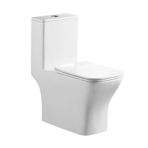 картинка Унитаз-моноблок с сиденьем BelBagno NEON BB8617CPR-MN/SC от магазина Сантехстрой