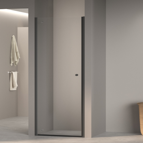 картинка Душевая дверь RGW 54930309-14 от магазина Сантехстрой