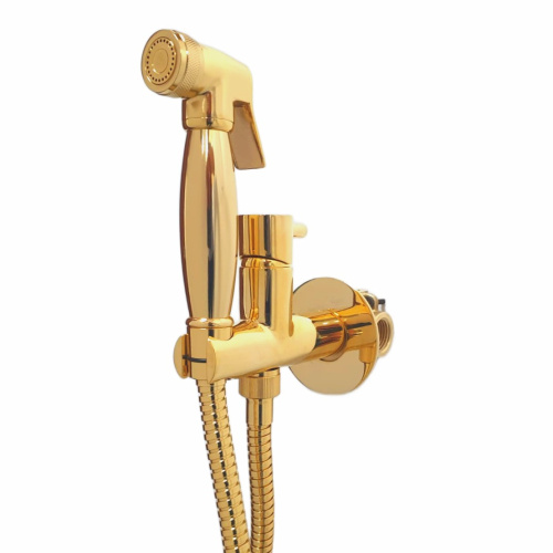 картинка Гигиенический душ со смесителем Webert Elio EL870301010, золото от магазина Сантехстрой