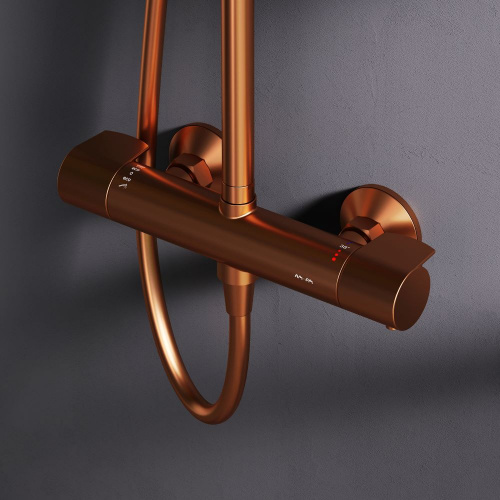 картинка F0785A444 X-Joy, душ.система:  см-ль д/душа с ТМС, душ.штанга,верхний душ 220мм, ручн душ, роз.золо от магазина Сантехстрой