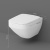 картинка C50A1700SC Inspire V2.0 подвесной унитаз FlashClean с сиденьем микролифт магазин Сантехстрой являющийся официальным дистрибьютором в России картинка C50A1700SC Inspire V2.0 подвесной унитаз FlashClean с сиденьем микролифт от магазина Сантехстрой