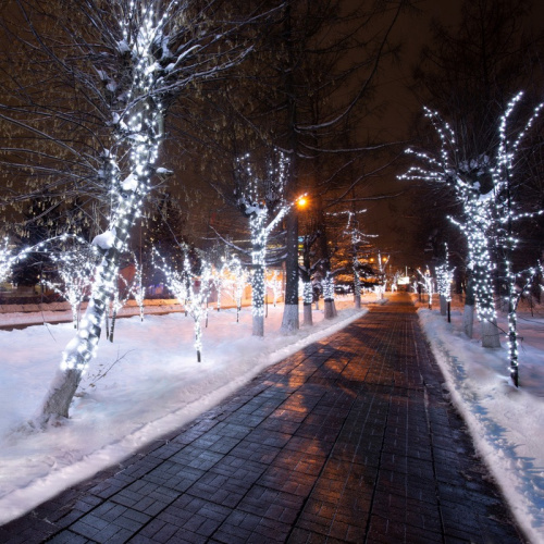 картинка Гирлянда LED Клип-лайт 12 V,  прозрачный ПВХ,  150 мм,  цвет диодов Белый Flashing (Белый) от магазина Сантехстрой