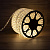 картинка Дюралайт LED,  постоянное свечение (2W) - ТЕПЛЫЙ БЕЛЫЙ,  36 LED/м,  бухта 100м от магазина Сантехстрой