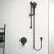 картинка Шланговое подключение Ideal Standard Ideal Rain BC808XG Черное матовое от магазина Сантехстрой