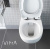картинка Унитаз Vitra Conforma 5810B003-6234 подвесной с сиденьем Микролифт магазин Сантехстрой являющийся официальным дистрибьютором в России картинка Унитаз Vitra Conforma 5810B003-6234 подвесной с сиденьем Микролифт от магазина Сантехстрой