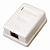 картинка Розетка компьютерная внешняя 1-порт FTP RJ-45 (8P8C),  CAT 5e REXANT от магазина Сантехстрой