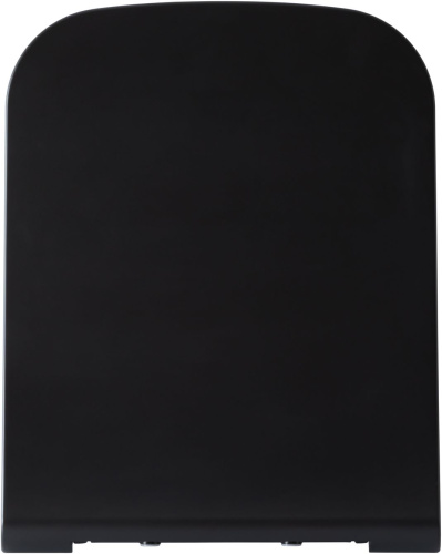картинка Крышка-сиденье для унитаза Allen Brau Infinity 4.21014.31 черный матовый от магазина Сантехстрой