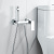 картинка Гигиенический душ со смесителем Rose R1805-1, хром от магазина Сантехстрой