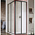 картинка Душевая дверь Ravak Supernova SRV2-100 195 S 14VA03O2Z1 профиль Черный стекло Transparent от магазина Сантехстрой