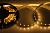 картинка LED-лента 5м открытая,  8 мм,  IP23, SMD 2835, 60 LED/m,  12 V,  цвет свечения теплый белый LAMPER от магазина Сантехстрой