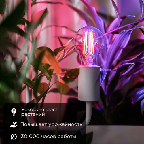 картинка Лампа филаментная для растений Груша A60 11,5Вт 18 микромоль/с E27 REXANT от магазина Сантехстрой