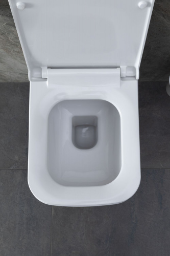картинка Чаша подвесного унитаза Allen Brau Infinity 4.21011.20 белый глянец от магазина Сантехстрой