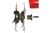 картинка Втулки противосорняковые 2 шт для Mantis 7222-00-18-9у от магазина Сантехстрой