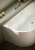 картинка FB12 Ванна акриловая отдельностоящая 1700*800*600мм бел. слив-перелив в комплекте, хром от магазина Сантехстрой