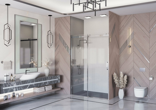 картинка Душевая дверь Ambassador 19021102hx от магазина Сантехстрой