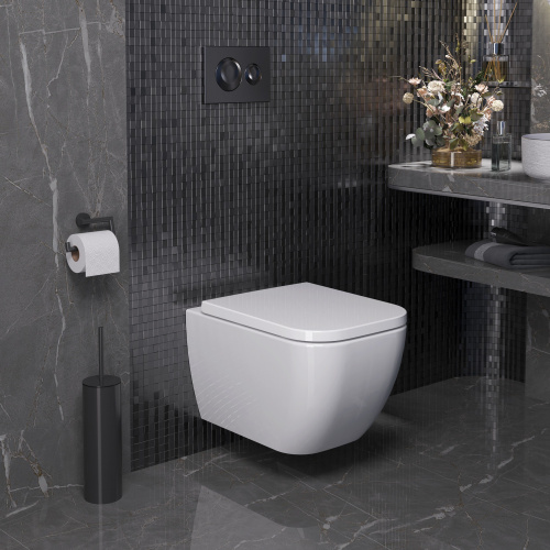 картинка Унитаз Forsa 243K19002RS (510*360*350) подвесной БЕЗОБОДКОВЫЙ, 2 места от магазина Сантехстрой