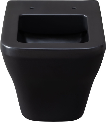 картинка Чаша подвесного унитаза Allen Brau Infinity 4.21011.31 черный матовый от магазина Сантехстрой