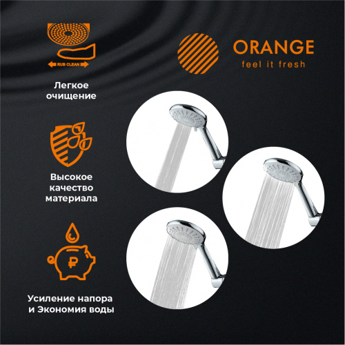 картинка Ручной душ Hansgrohe Raindance Classic, 100 3jet, хром/под золото (28548090) от магазина Сантехстрой