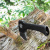 картинка Топор универсальный малый «Викинг» 225 мм REXANT от магазина Сантехстрой