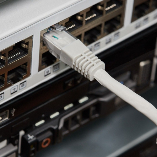 картинка Шнур коммутационный,  патч-корд U/UTP RJ45-RJ45, CAT 5e,  LSZH серый,  2м REXANT от магазина Сантехстрой