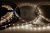 картинка LED лента 5м открытая,  8 мм,  IP23, SMD 2835, 60 LED/m,  12 V,  цвет свечения белый LAMPER от магазина Сантехстрой