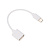 картинка Кабель OTG Type C на USB/2,4A/PVC/white/15cm/REXANT от магазина Сантехстрой