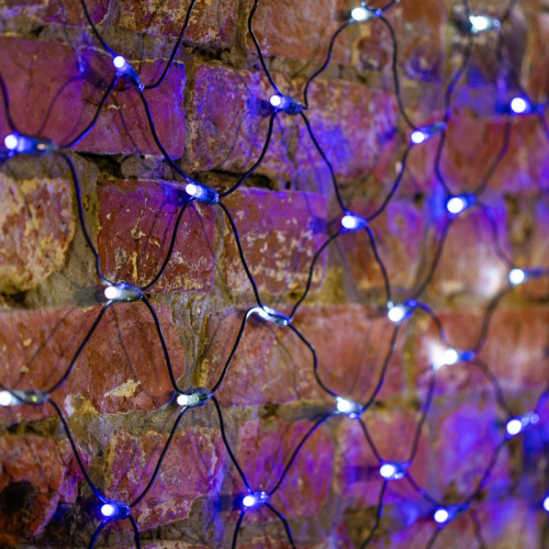 картинка Гирлянда Сеть 2х1,5м,  черный ПВХ,  288 LED Белые/Синие от магазина Сантехстрой