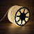 картинка Дюралайт LED,  постоянное свечение (2W) - ТЕПЛЫЙ БЕЛЫЙ,  24 LED/м Ø10мм,  бухта 100м от магазина Сантехстрой
