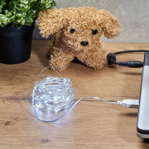 картинка Гирлянда Роса 5 м,  50 LED, USB,  белое свечение NEON-NIGHT от магазина Сантехстрой