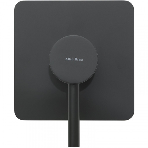 фото смеситель для душа allen brau 5.31012-31 черный