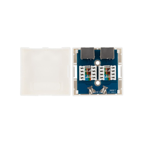 картинка Розетка компьютерная внешняя,  2-порта FTP RJ-45 (8P8C),  CAT 6 REXANT от магазина Сантехстрой