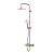 картинка F0785A444 X-Joy, душ.система:  см-ль д/душа с ТМС, душ.штанга,верхний душ 220мм, ручн душ, роз.золо от магазина Сантехстрой
