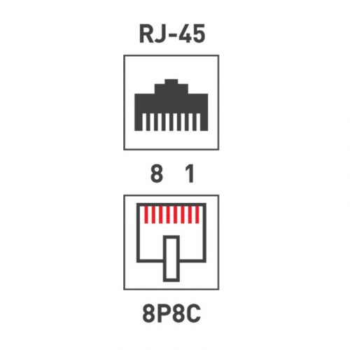 картинка Розетка компьютерная внешняя,  2-порта UTP RJ-45 (8P-8C),  CAT 5e REXANT от магазина Сантехстрой